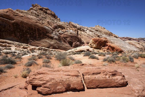 Coloured sandstone formations at Rainbow Vista