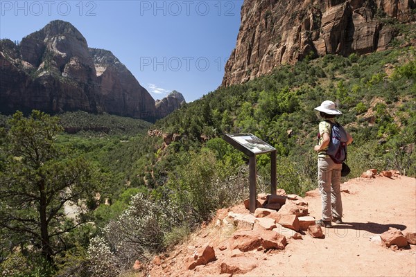 Hiker looking at info board