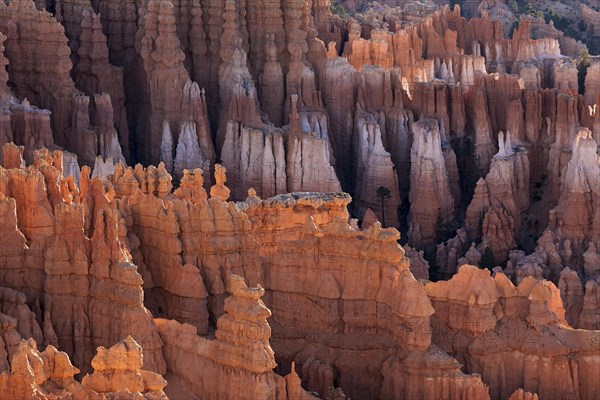 View of Bryce Amphitheater from Inspiration Point