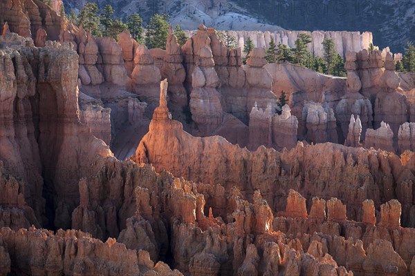 View of Bryce Amphitheater from Inspiration Point