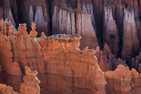 View of Bryce Amphitheater from Inspiration Point
