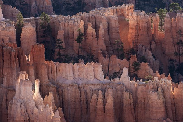 View of Bryce Amphitheater from Inspiration Point