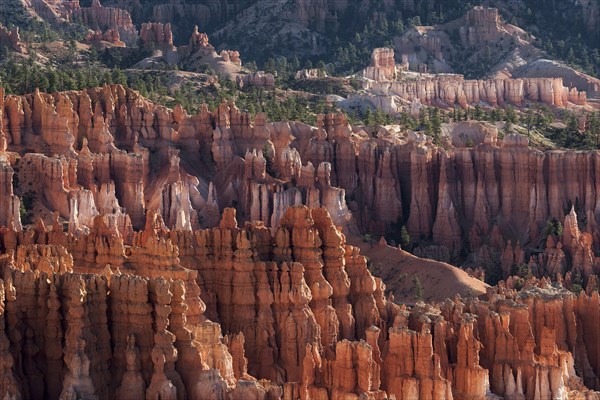 View of Bryce Amphitheater from Inspiration Point