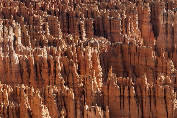 View of Bryce Amphitheater from Inspiration Point