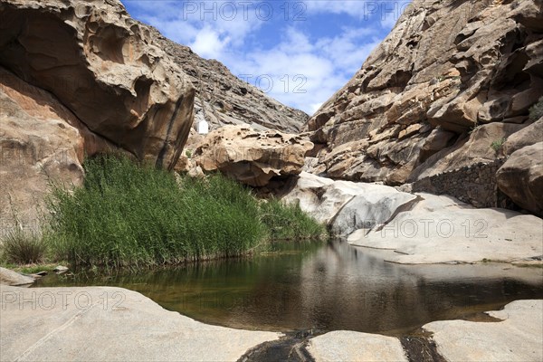 River with reeds in the Barranco de las Penitas