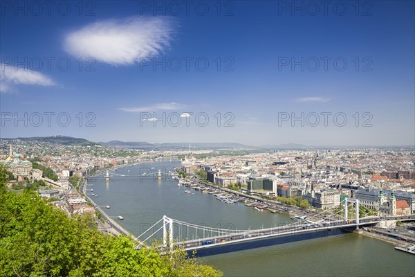 Cityscape with Elisabeth Bridge and the Danube