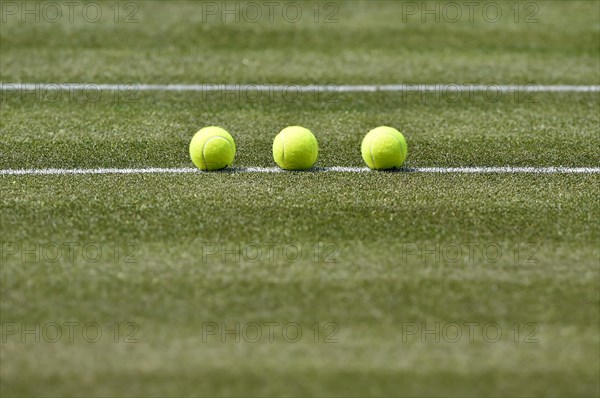 Tennis balls on lawn