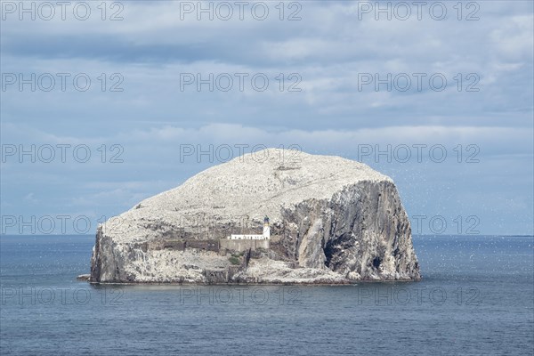 Bass Rock