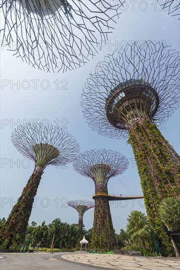 SuperTrees