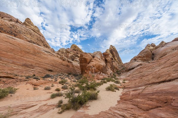 Red orange sandstone rock