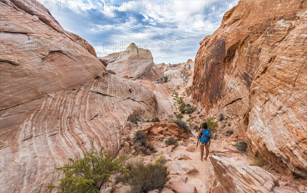 Red orange sandstone rock