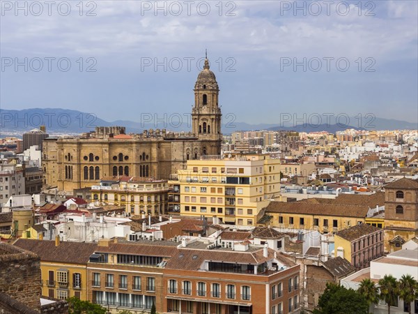 View from Monte de Gibralfaro to the historic centre with Malaga Cathedral