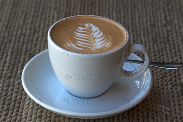 Cappuccino with milk froth