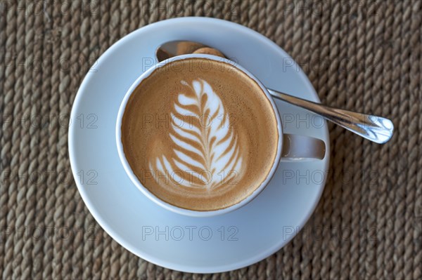 Cappuccino with milk froth