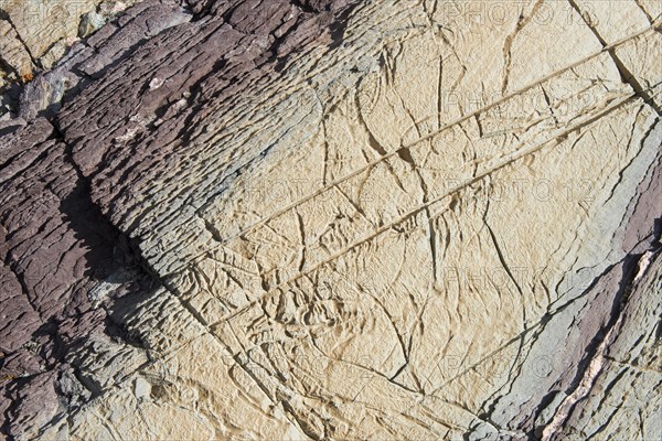 Limestone coloured red by iron and whitish-yellow dolomite