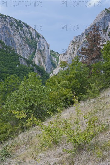 Cheile Turzii or Turda gorge