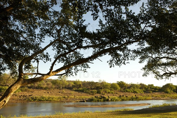 View across Olifants River