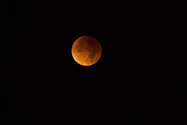 Blood Moon and Super Moon