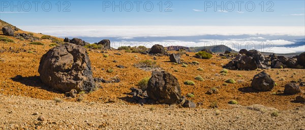 Huevos del Teide