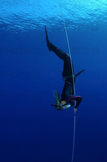 Freediving in the Red Sea