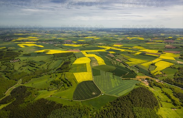 Agricultural land and rapeseed fields in Heimbach