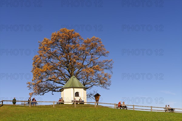 Chapel and Viewpoint above Torwang at Samerberg