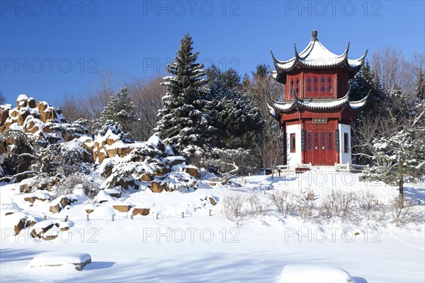 Chinese pavilion in snow at the botanical garden