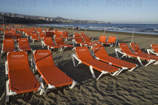 Sun beds on the beach