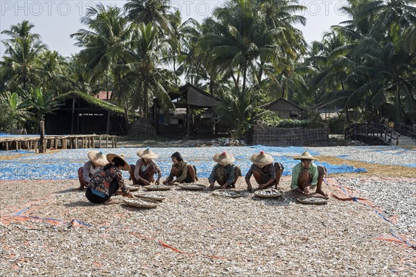 Local women wearing straw hats