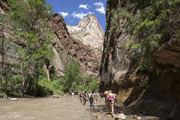 North Fork Virgin River