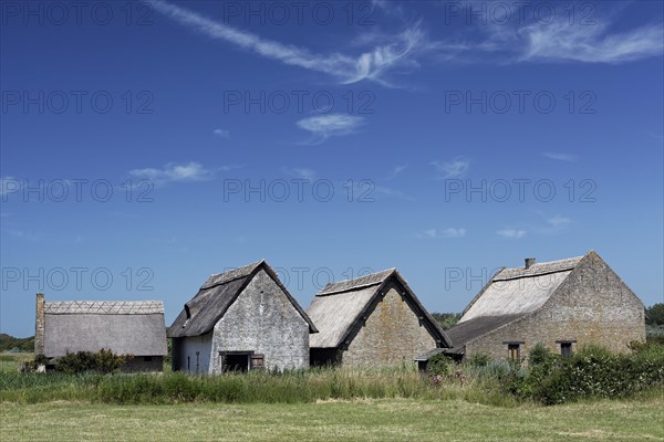 Replica of medieval fishermen's houses