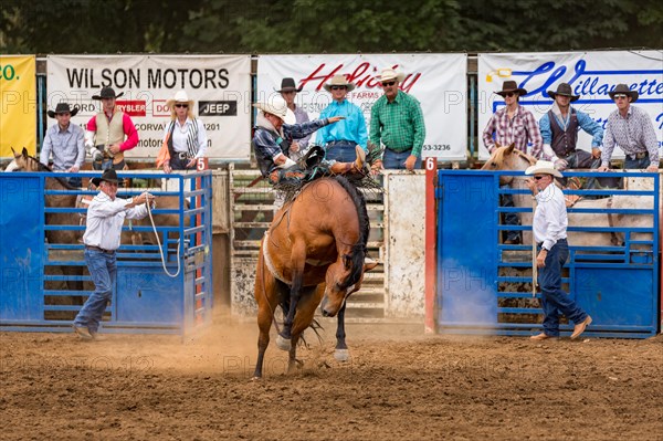 Saddle bronc riding