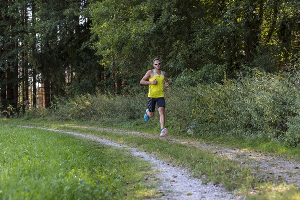 Runner on a forest path