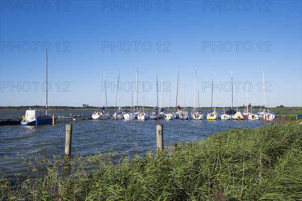 Wustrow harbour