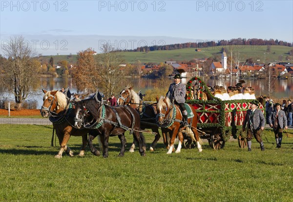 Carriage at the Leonhardi procession to Froschhausen