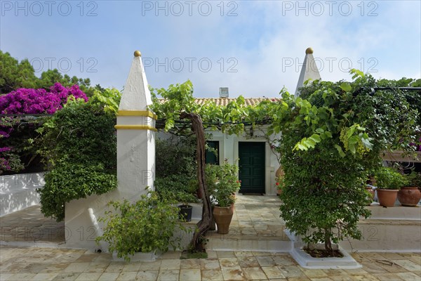 Yard with vines and obelisk in the monastery Panagia Theotokos tis Paleokastritsas or Panagia Theotokos