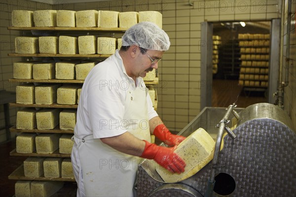 Dairy expert in the aging cellar of the Sarzbuttel fine cheese dairy