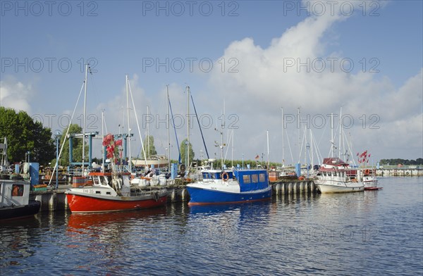 Fishing boats in the harbour