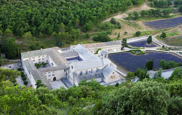 View of Cistercian abbey Abbaye Notre-Dame de Senanque with lavender field