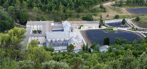 View of Cistercian abbey Abbaye Notre-Dame de Senanque with lavender field