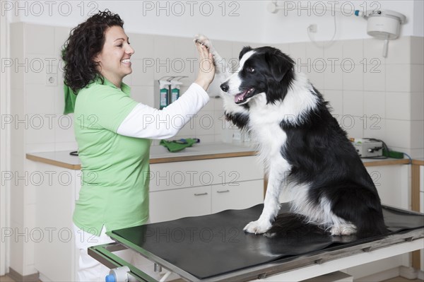 Veterinarian