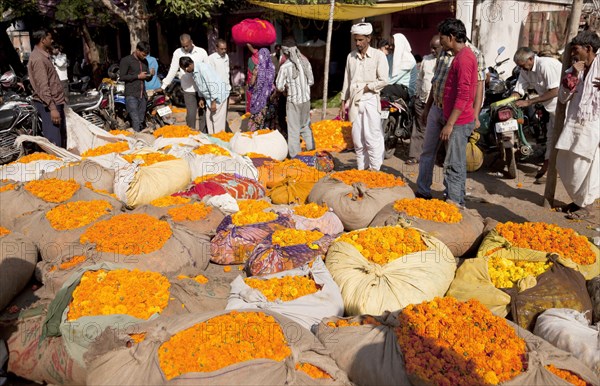 Flower Market