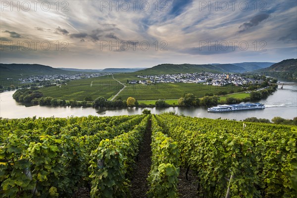 Cruiseship shipping between the vineyards around the Moselle