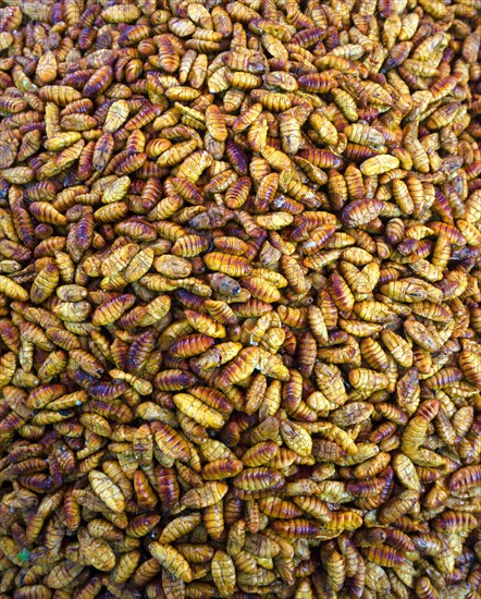 Deep-fried silkworms on a market