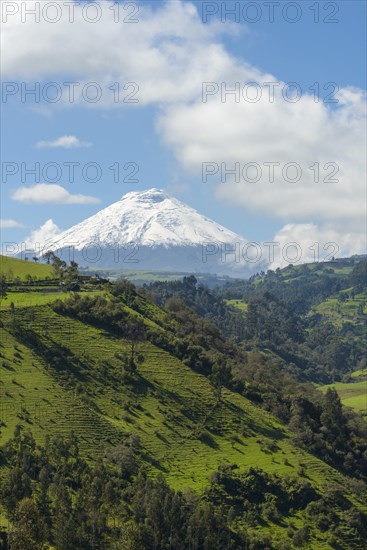 Cotopaxi volcano