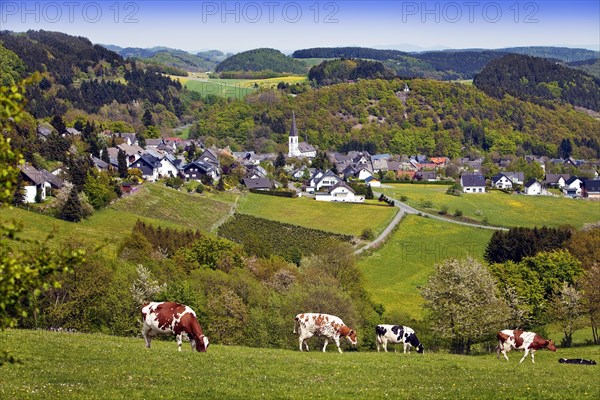 View of Dudinghausen district