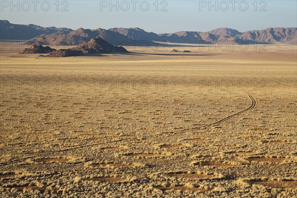 Grass covered desert plain at the edge of the Namib Desert