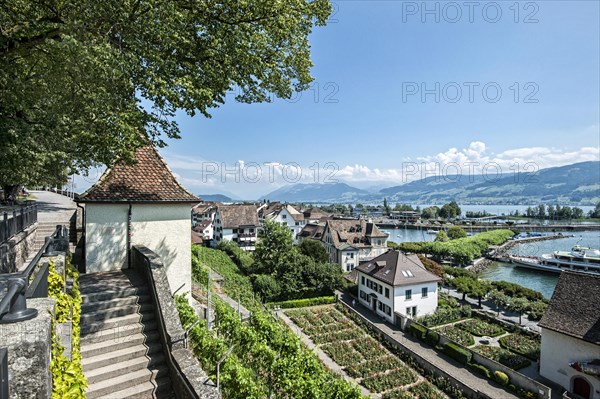 Rapperswil