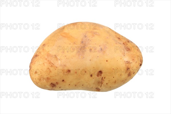 Potato