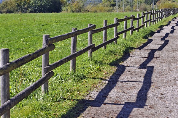 Fence with a shadow along the promenade path